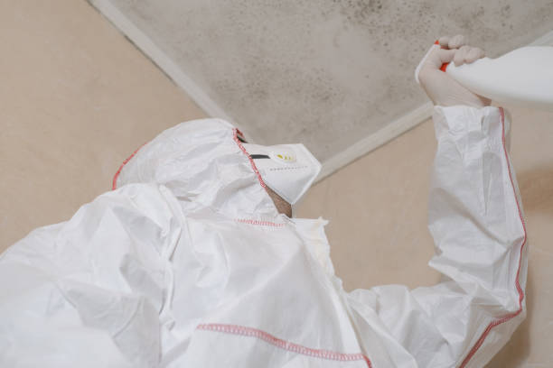 Best Mold Remediation Experts  in Konterra, MD